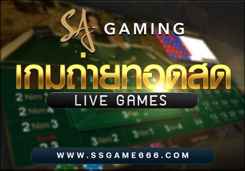 SSGAME666 แบนเนอร์เกม 2